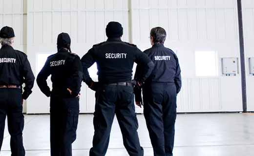 alpha security