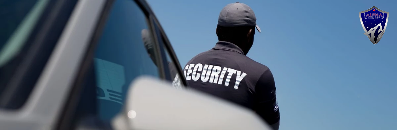 security-alarm-installation-alt