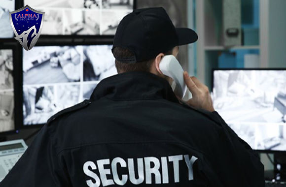 Alpha Remote Video Monitoring Service Kitchener Ontario Canada