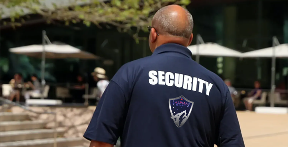 Alpha Security Yard Security London Ontario Canada